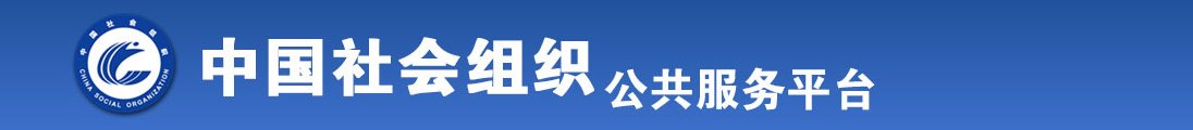 日本美女日皮安全安装下载教程全国社会组织信息查询